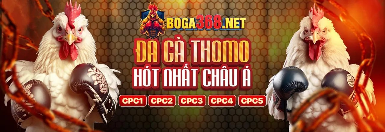 Hỗ trợ khách hàng